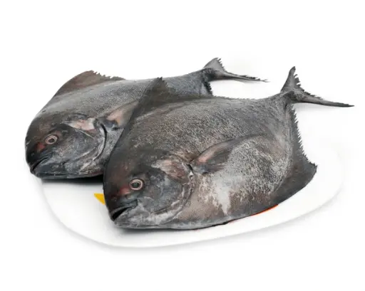 Black pomfret fish box 1Kg frozen