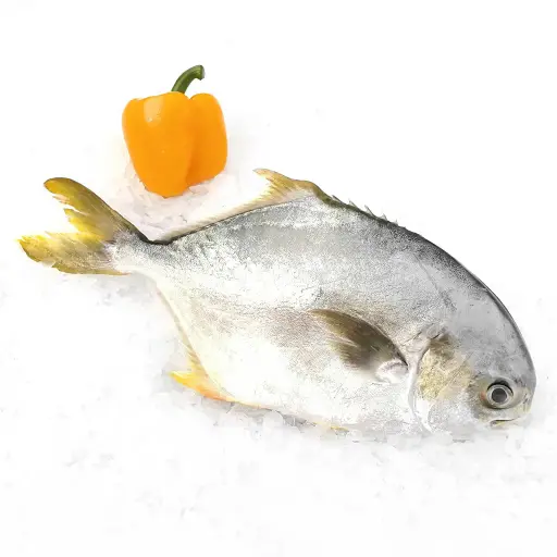 Goldenpomfret fish box 5Kg frozen